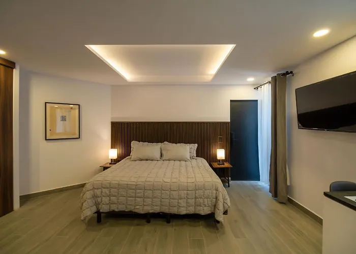 Pensión Luxurious In Heart Of Ciudad De Mxico - M3 3*